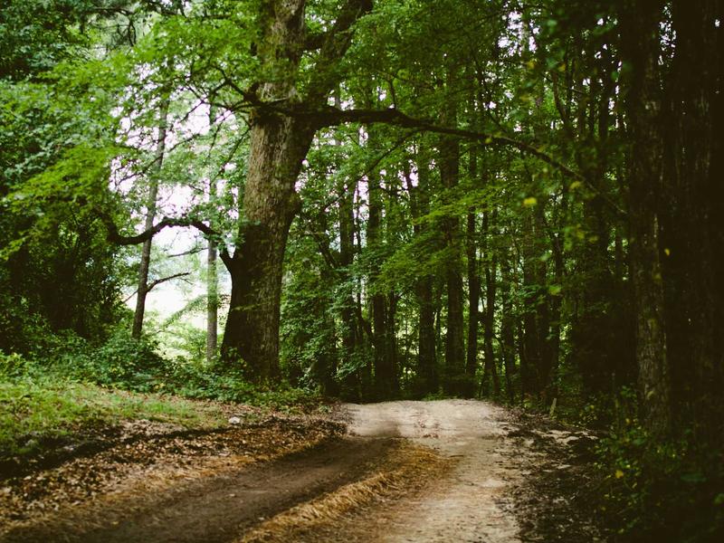 android screenshot 5